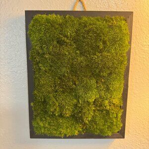 Preserved Moss Wall Art 8"x10" Black Frame: office/home decor, gift, sleek
